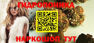 spice Волгодонск