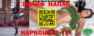 гидра Волжский