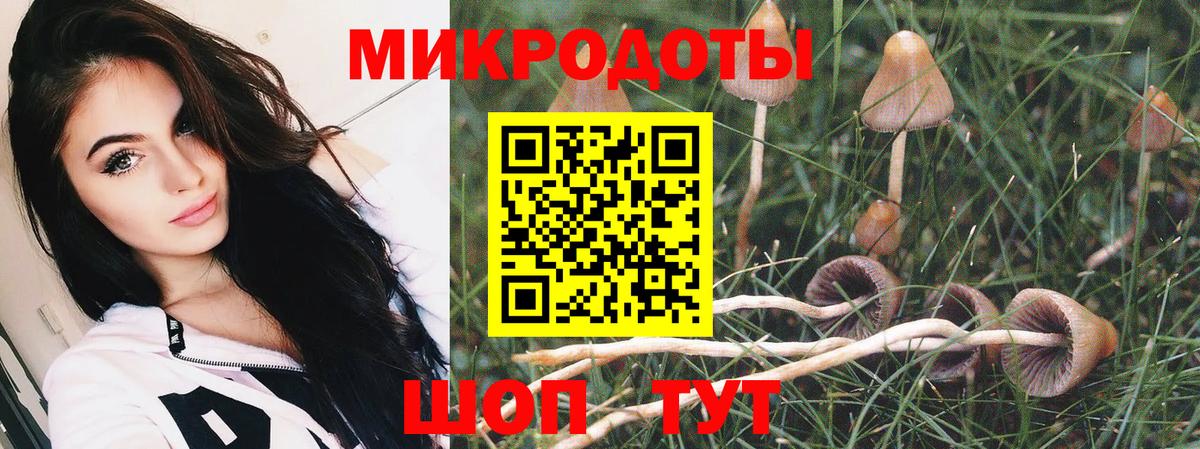 Кудрово  Галлюциногенные грибы MAGIC MUSHROOMS  Вход с VPN 