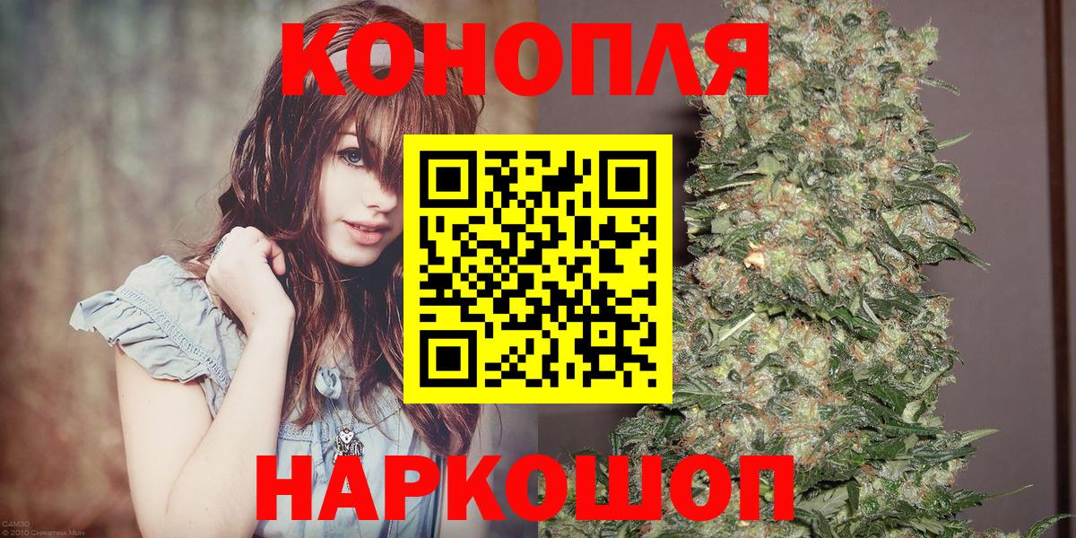 ТГК Кудрово